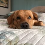 Ryan Laney - @ryan.laney - Instagram