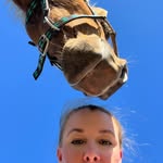 Ryan Laney Harris - @southernlifeyall - Instagram