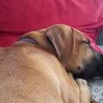 Ryan Langdale - @ryanlangdale - Instagram
