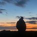 Ryan Langford - Facebook
