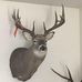 Ryan Langford - Facebook