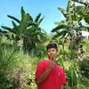 Yan Yan - @ryanlape5 - TikTok