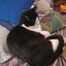 Ryan Lapp - Facebook