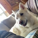Ryan Larson - @takiumz - Instagram