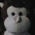 ryan lashway - @crazy_monkey_44 - Instagram