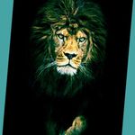 #@ryan. - @mahlatiniryan - Instagram