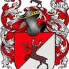 Ryan Laube - @ryan.laube - TikTok