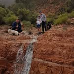 Ryan Lauritsen - @ryan.lauritsen1974 - Instagram
