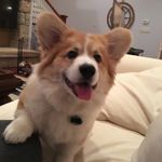 Ryan Lawless - @ryanl_85 - Instagram