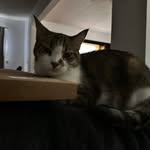 Ryan Leasure - @ryan_loser0 - Instagram