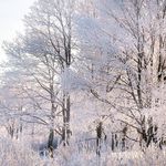 Ryan - @ryanviellechner - Instagram