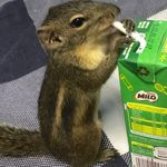RyanLepley - @ryan_tridents - Instagram