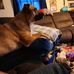 Ryan Leroy - Facebook