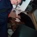 Ryan Letellier - Facebook