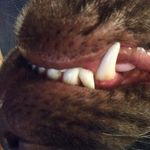 Ryan LeTellier - @ryanletellier - Instagram