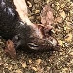 Ryan_libby - @ryan_libby_ - Instagram