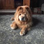 Ryan Libby - @ryan.m.libby - Instagram