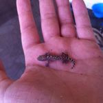 Ryan Libby - @footballkid117 - Instagram