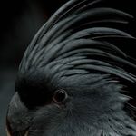 Ryan Lightner - @lightner.ryan - Instagram