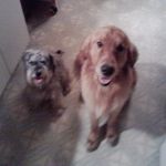 Ryan Liming - @ryan.liming.96 - Instagram