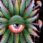 zach ryan lingle - @pot_head420_69 - Instagram