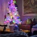 Ryan Liston - @liston8288 - Instagram