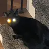 Ryan Liston - @revankist - TikTok