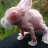 Ryan - @ryan.litke09 - TikTok
