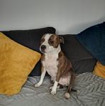 Ryan Lock - Facebook