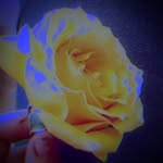 Ryan Lockhart - @ryanz._.c0rn3r - Instagram