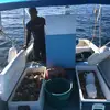 Saltlife daddy 🦞🌊🌊💰 - @ryanlockhart251 - TikTok