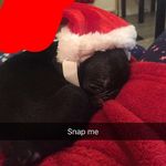 snapcha~ logan.ryan27 - @ryan.logan_ - Instagram