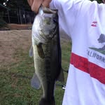 Ryan Lohse - @ryan_lohse84 - Instagram