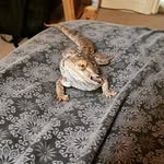 Ryan Lomas - @ryan_lomas - Instagram