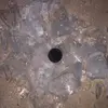 ryanlorenz_12 - @ryanlorenz_12 - TikTok