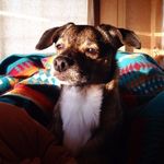 Ryan Lovelace - @smallkinealltime - Instagram