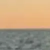 ryanlovett22 - @ryanlovett22 - TikTok
