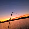 ryanlovett7 - @ryanlovett7 - TikTok