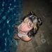 Ryan Lucy - Facebook
