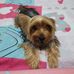 Ryan Luke - Facebook