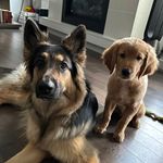 Ryan Pineo-Lush - @ryan.pineo_lush - Instagram