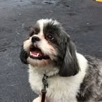 @ryan_lynd - Instagram
