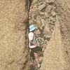 ryanmacaulay31 - @ryan.macaulay74 - TikTok
