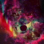 Ryan Mailhot - @ryan_mailhot_backup - Instagram