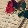 rayan malham - @rayan.malham - TikTok