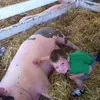 Ryan Malm - @ryan.malm6 - TikTok