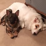 Ryan - @ryanmalmberg - Instagram