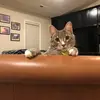ryan_manhard - @ryan_manhard - TikTok