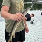 Ryan Manke - @ryanma0073 - Instagram