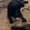 Ryan Mann - @ryanmann492 - TikTok